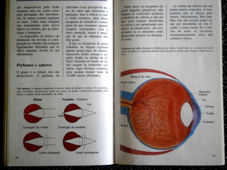 o corpo humano daniel albert-kouraguine