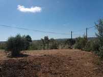 Terreno urbanizado 800m2 Torres Vedras