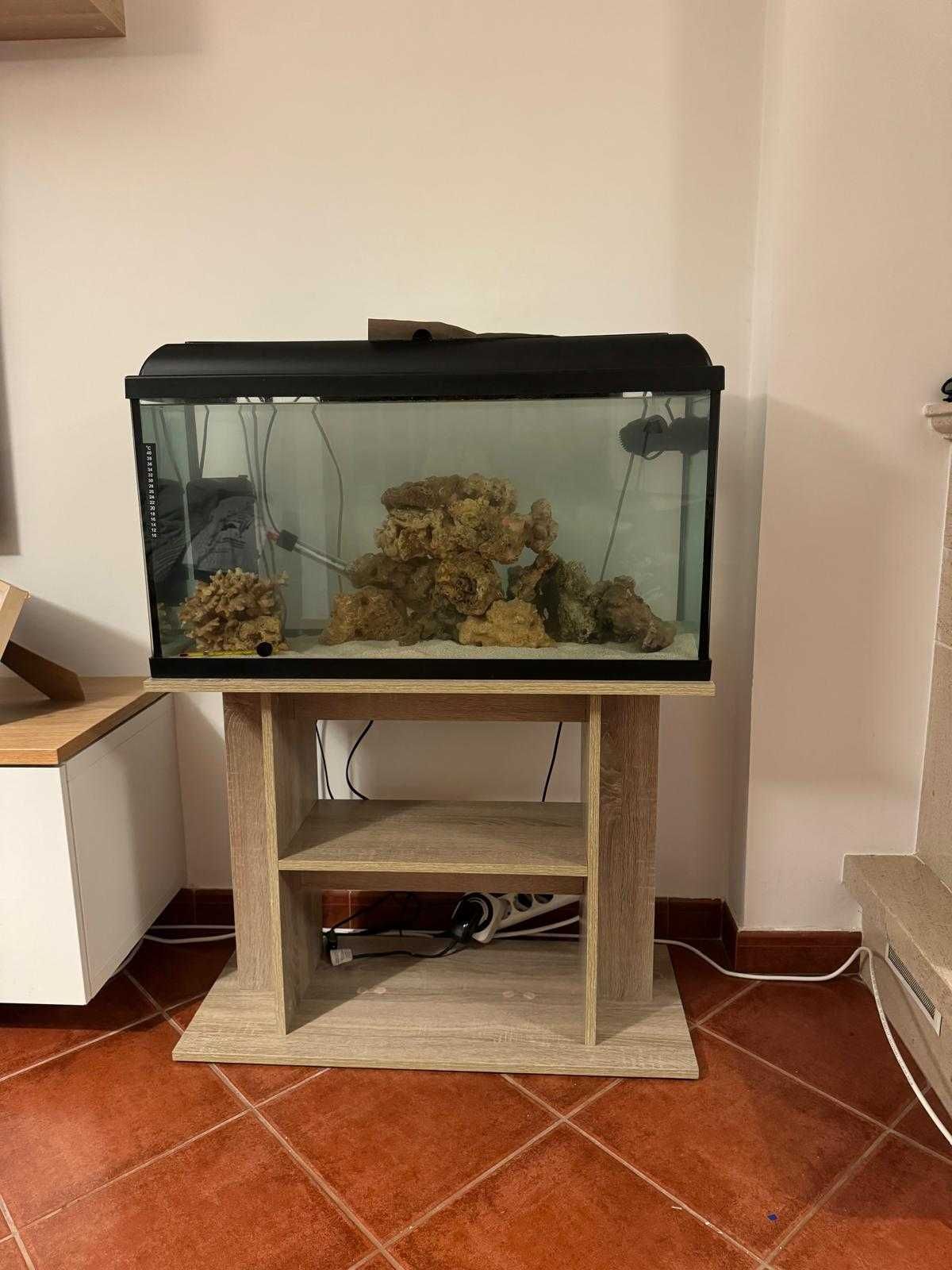 Aquário 100L com móvel