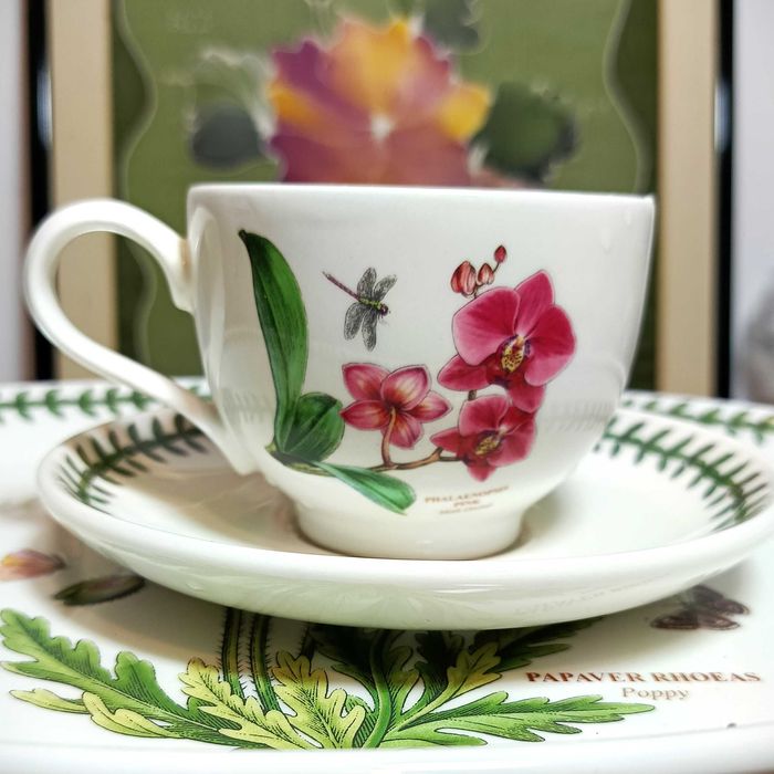 Portmeirion Botanic Garden.