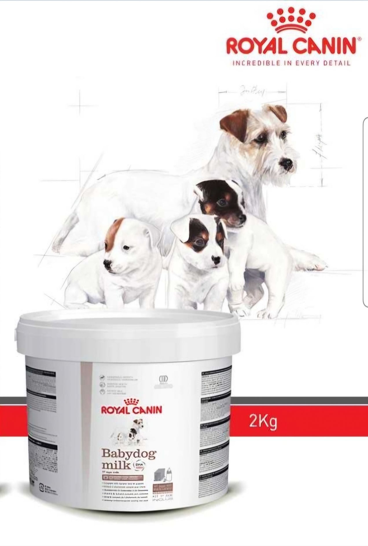 Royal Canin Baby dog Milk