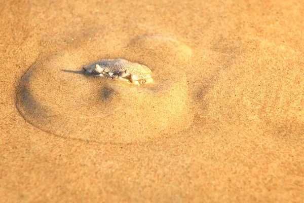 Piasek kopany z transportem