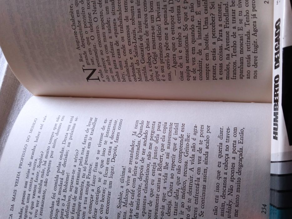 Crónica da mais velha profissão do Mundo.