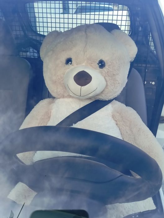 Urso de peluche gigante!