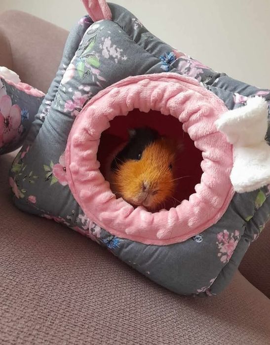 Domek 20 x 20 cm dla gryzonia świnki morskiej szczura szynszyla