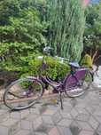 Rower Batavus Old Dutch