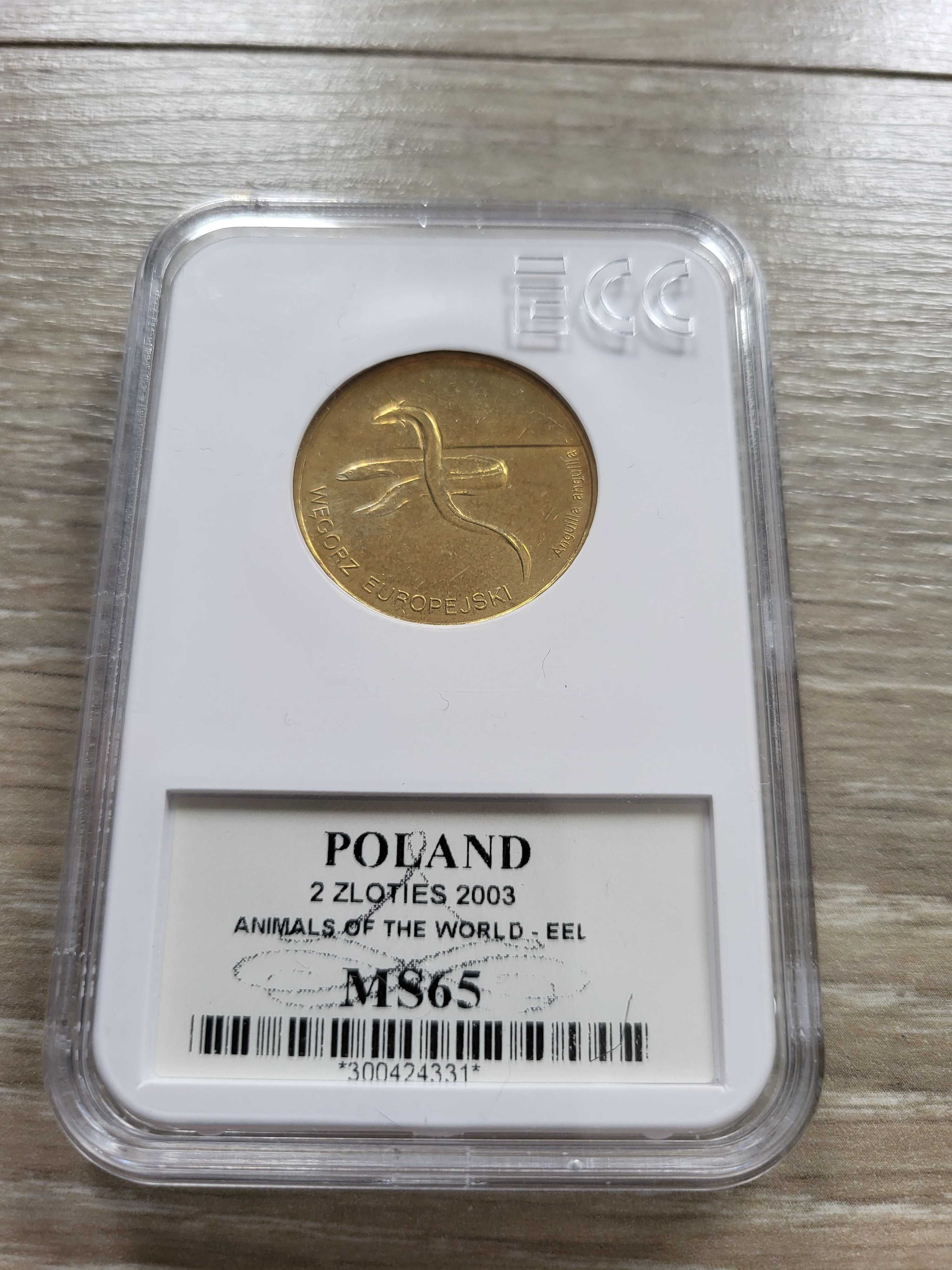 Moneta 2 złote węgorz europejski MS65 2003