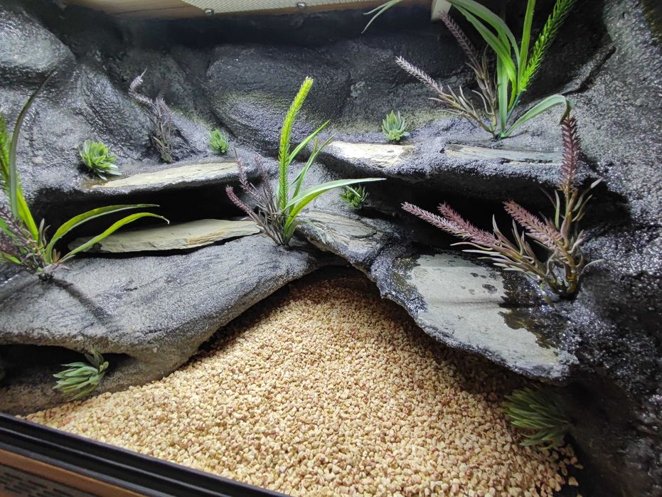 Terrarium pustynne nr746 60/40/40 dla gekona lamparciego DOSTĘPNE