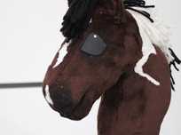 Hobby horse AXN a5 srokaty