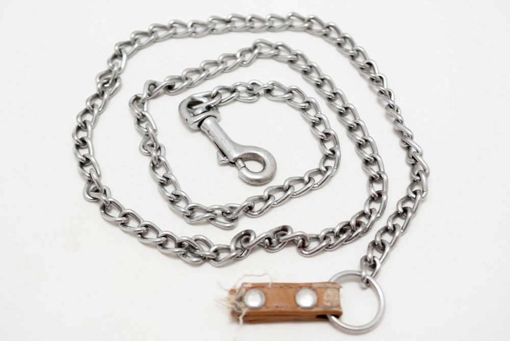 ошейник и поводки