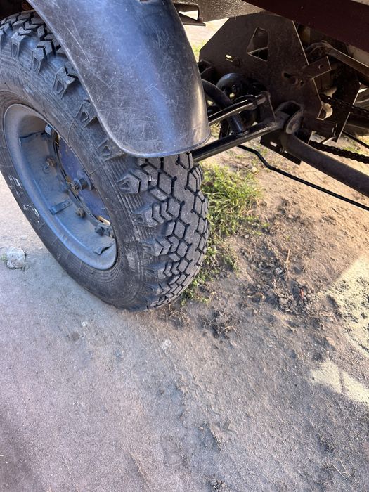 Продам муравей робочий