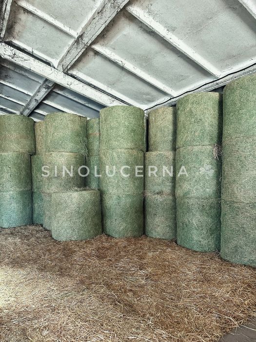 Сіно люцерни в круглих тюках. Укос 2025