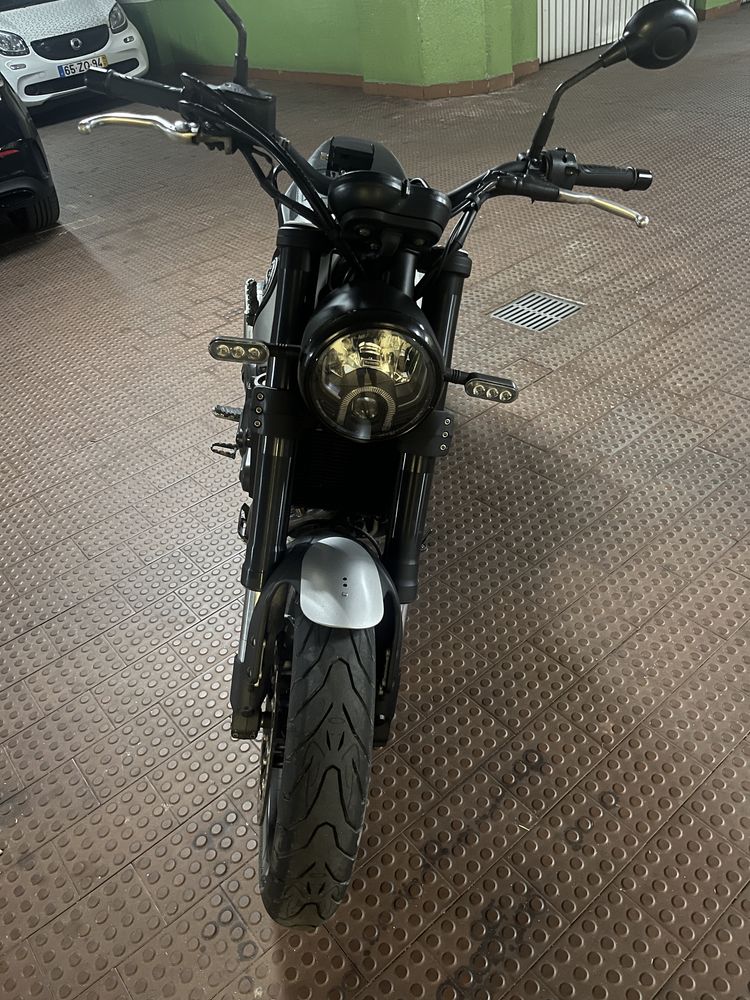 Benelli Leoncino 500