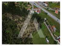 Terreno em Serém de Cima - Macinhata do Vouga