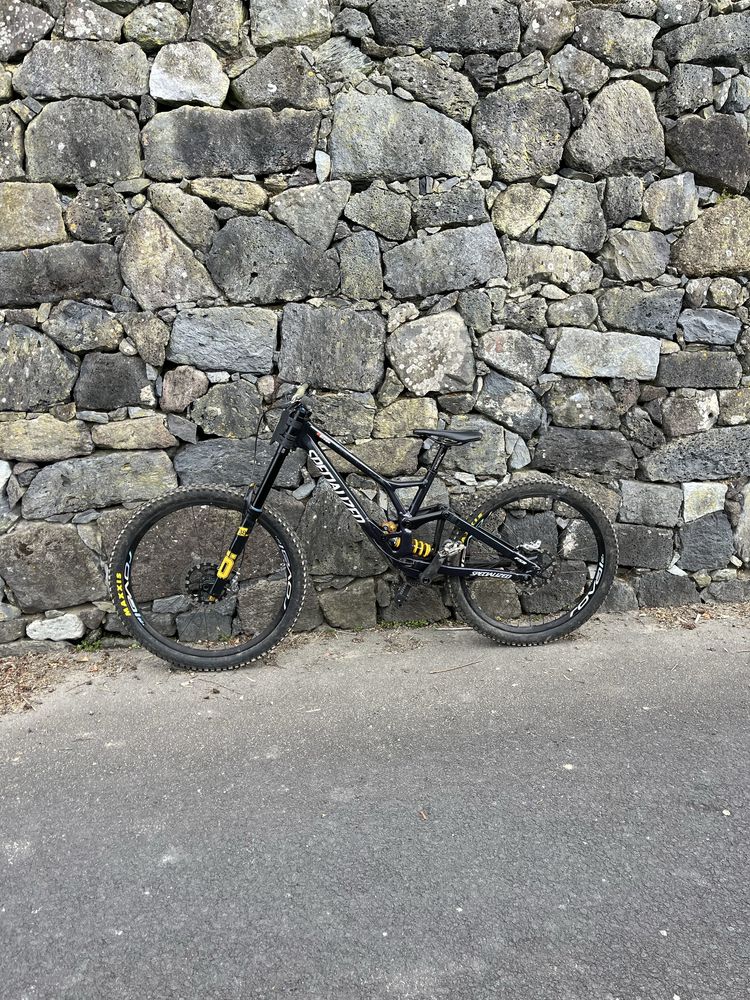Specialized demo race 2024( bike dh)