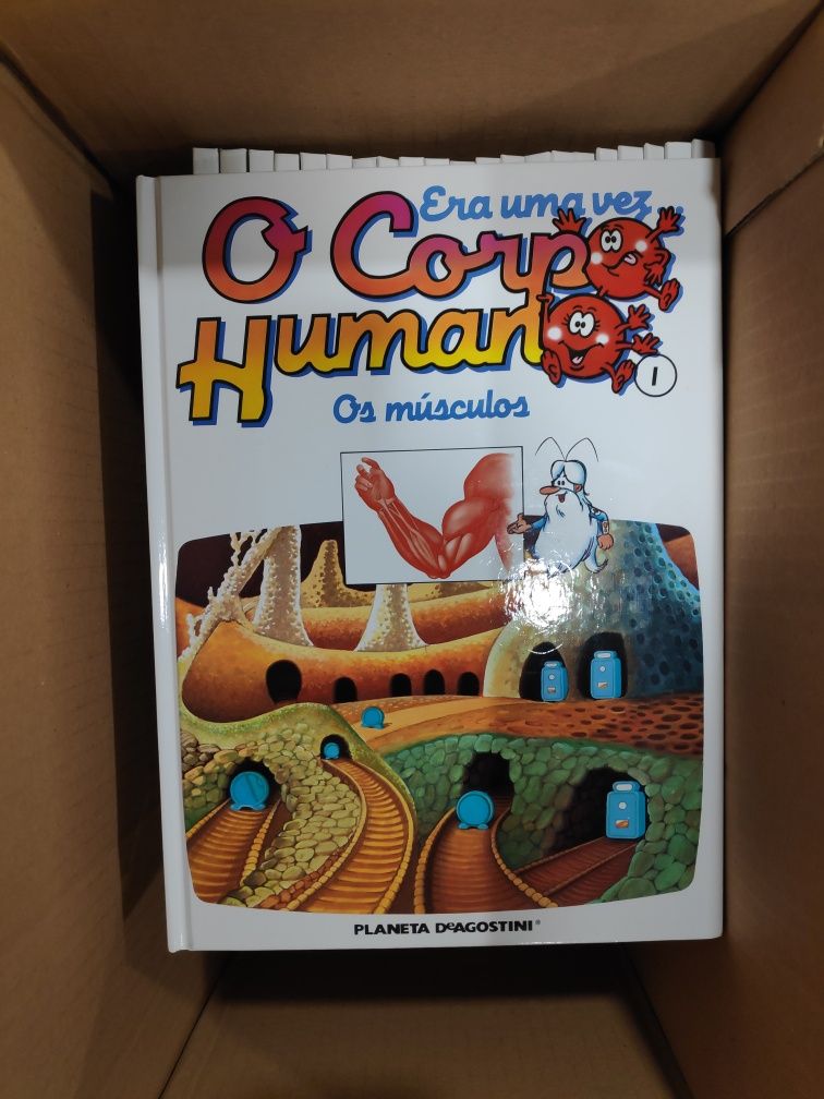 22 livros era uma vez o corpo humano