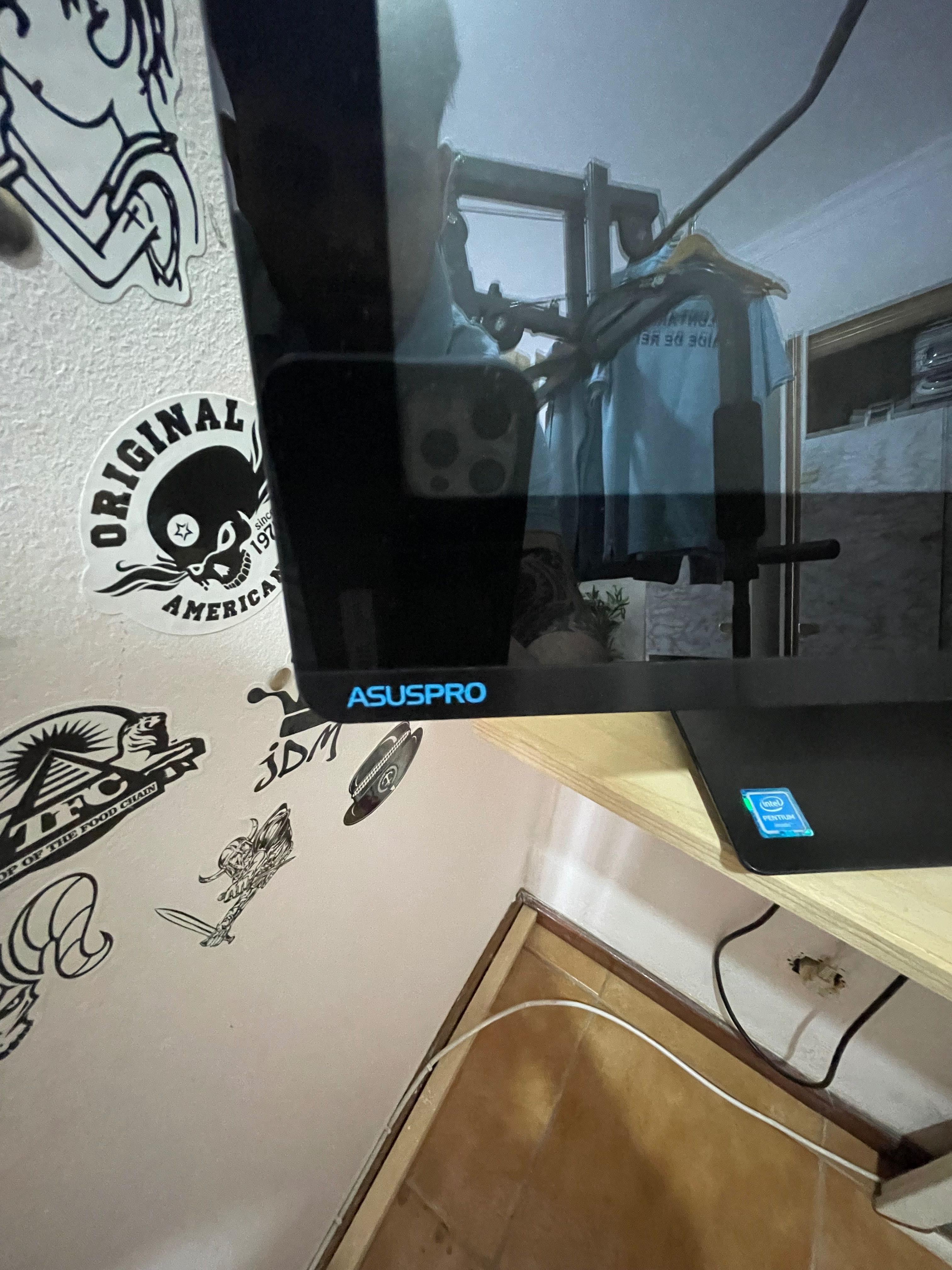 Asus pro all in one pc