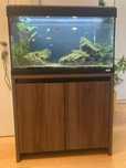 Aquário Fluval com móvel integrado