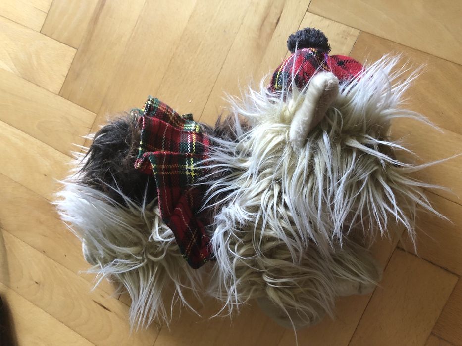 Maskotka piesek York, ze Szkocji