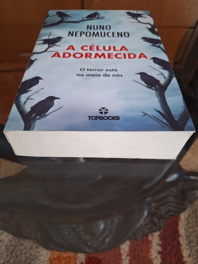 Livro Novo 586 páginas