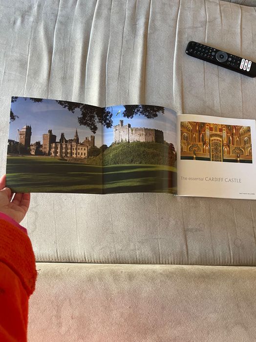 Livro the essential Cardiff castle