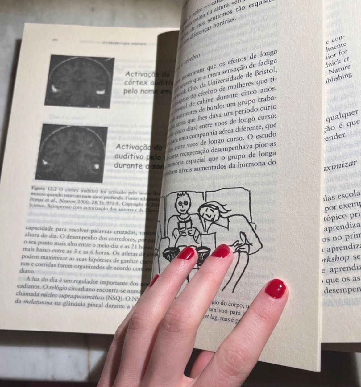"O cérebro que aprende- lições para a educação", livro de aprendizagem