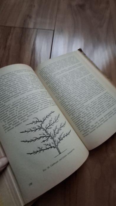 Книжка Совети свдоводам і виноградарям