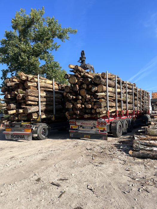 Drewno kominkowe / opałowe z transportem