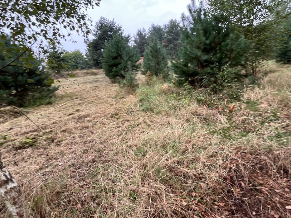 Działka 1451m2 ; cena 85 zł za metr działki nr: 41/6