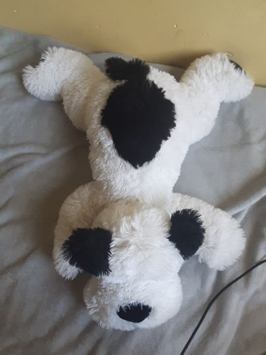 Miękki pluszowy piesek