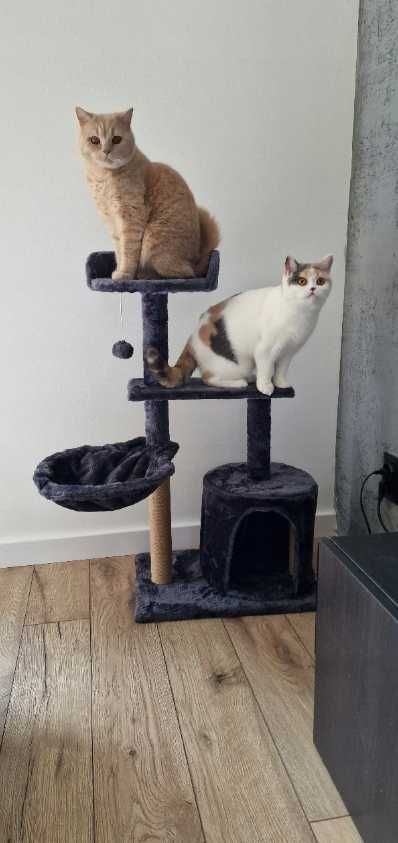 Drapak dla kota przytulny domek legowisko kocia wieża