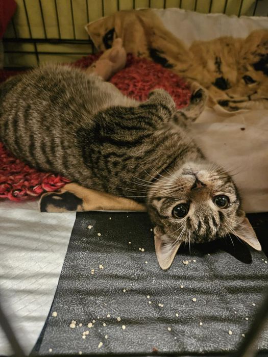 Miał być dom, zrezygnowali ze mnie