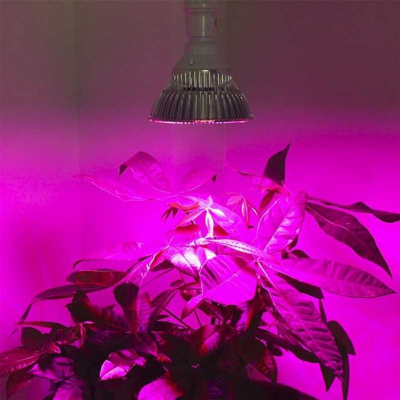 LED Żarówka do roslin E27 10W