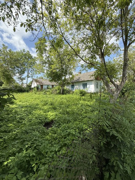 Продаж будинку с. Липа