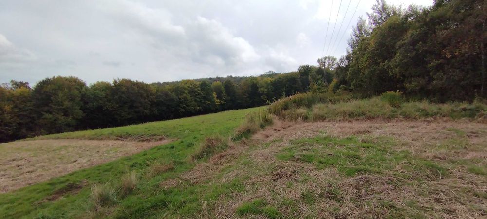 Sprzedam działkę widokową w Gogołowie