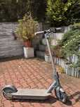 Motus Scooty 10 2022