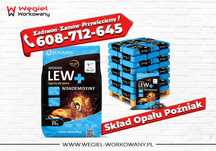 Groszek Lew Plus Sobianek 29-27 MJ/kg