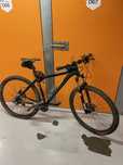 specialized rockhopper pro 29