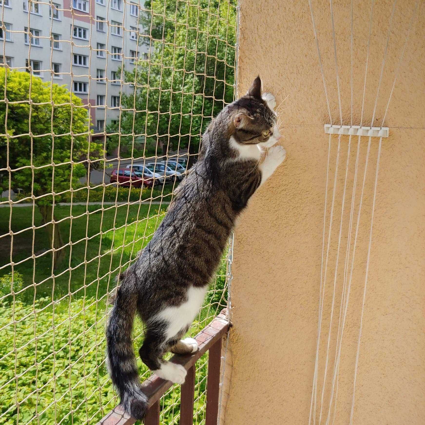 Sprzątanie czyszczenie balkonu montaż siatki przeciw ptakom/dla kota