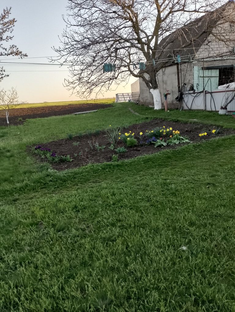 Продается дом село Недайвода