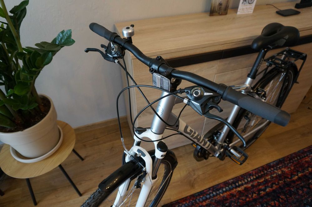 Rower Giant Argento RS 4