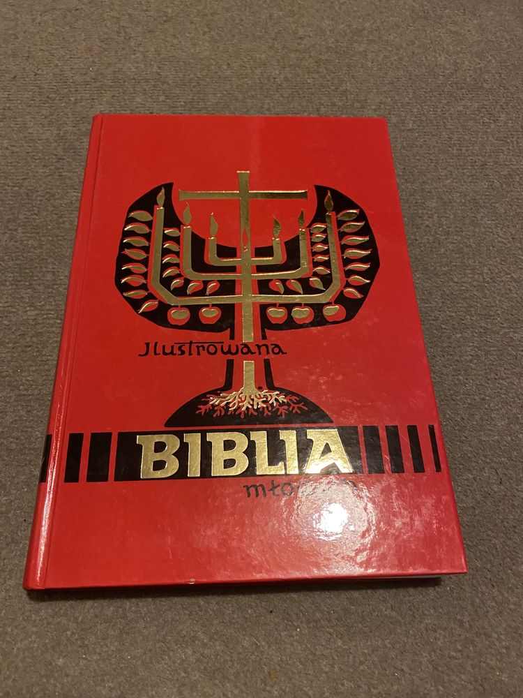 Ilustrowana biblia młodych