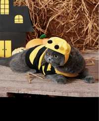 Ubranko dla kota / małego psa - pszczoła