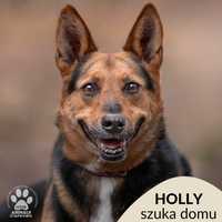 Nieśmiała Holly czeka na dom! OTOZ Animals Schronisko Ciapkowo.