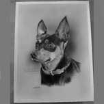 Desenho Retrato de animais grafite e carvão