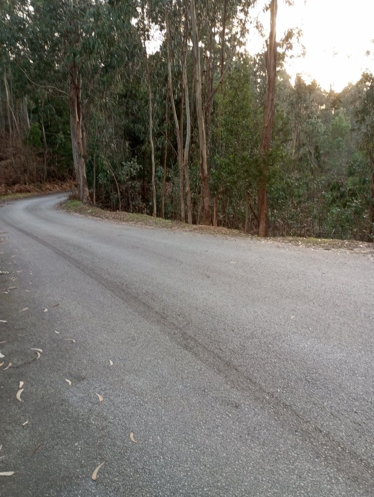 Ótimo terreno com 60 metros de frente á estrada