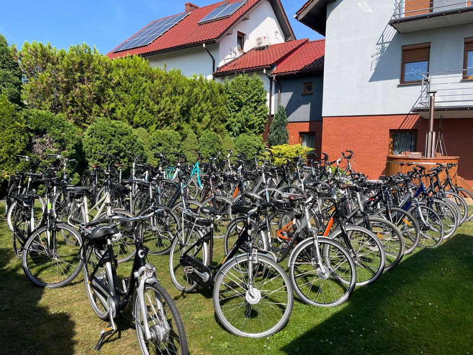 Rower elektryczny Batavus Holenderski