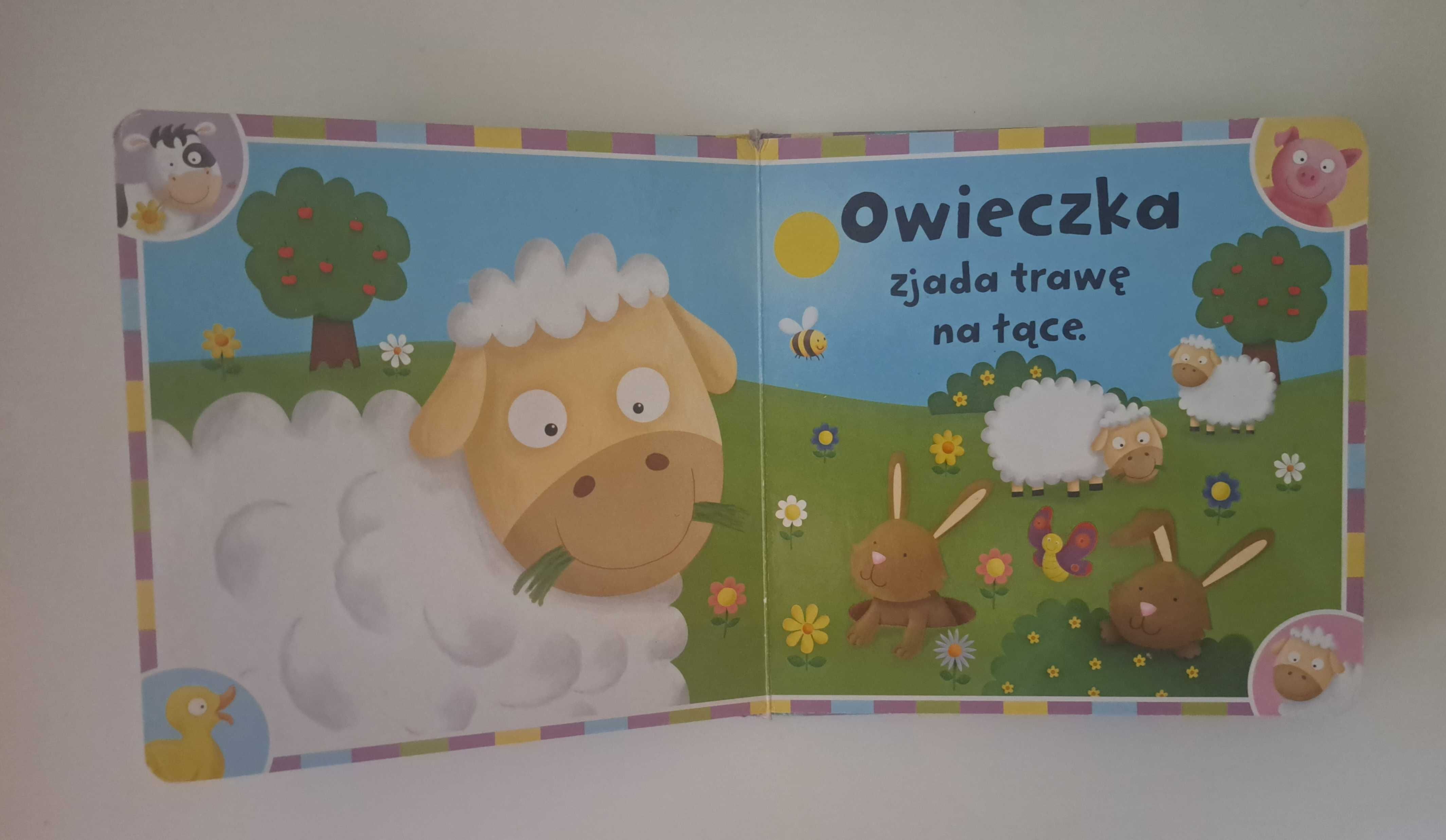 Książka dla dzieci Na wsi. Dotknij i poczuj