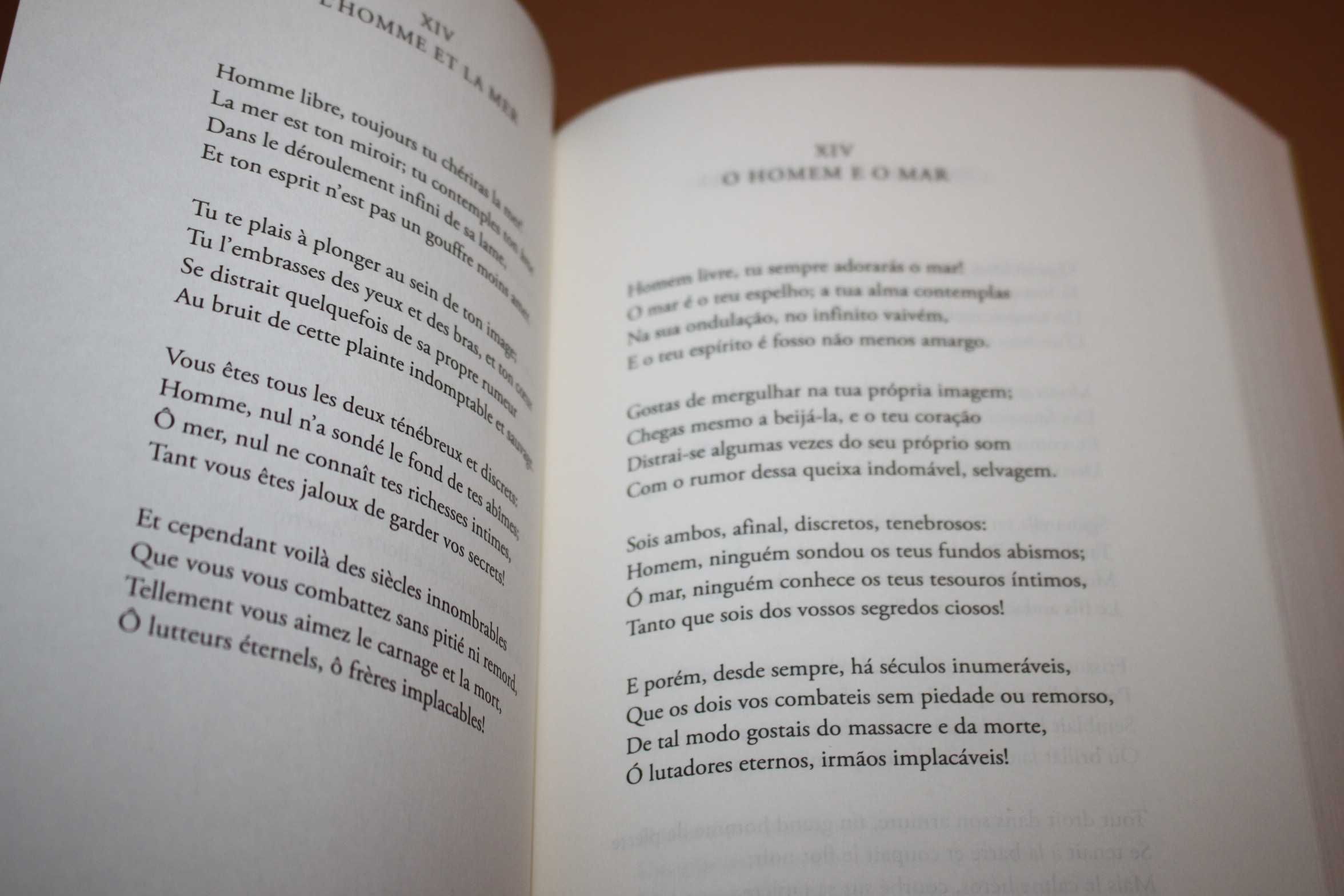As Flores do Mal// Charles Baudelaire