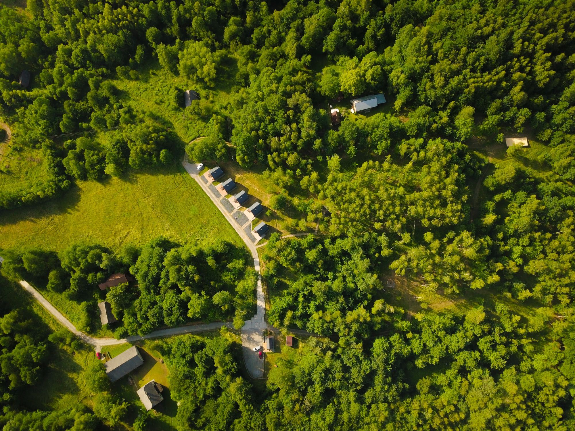 Domki letniskowe W Sam Las Lubenia Forest Spa